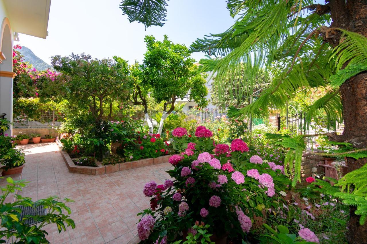 Villa Sophia Apartments By Corfuescapes Agios Gordios  Zewnętrze zdjęcie